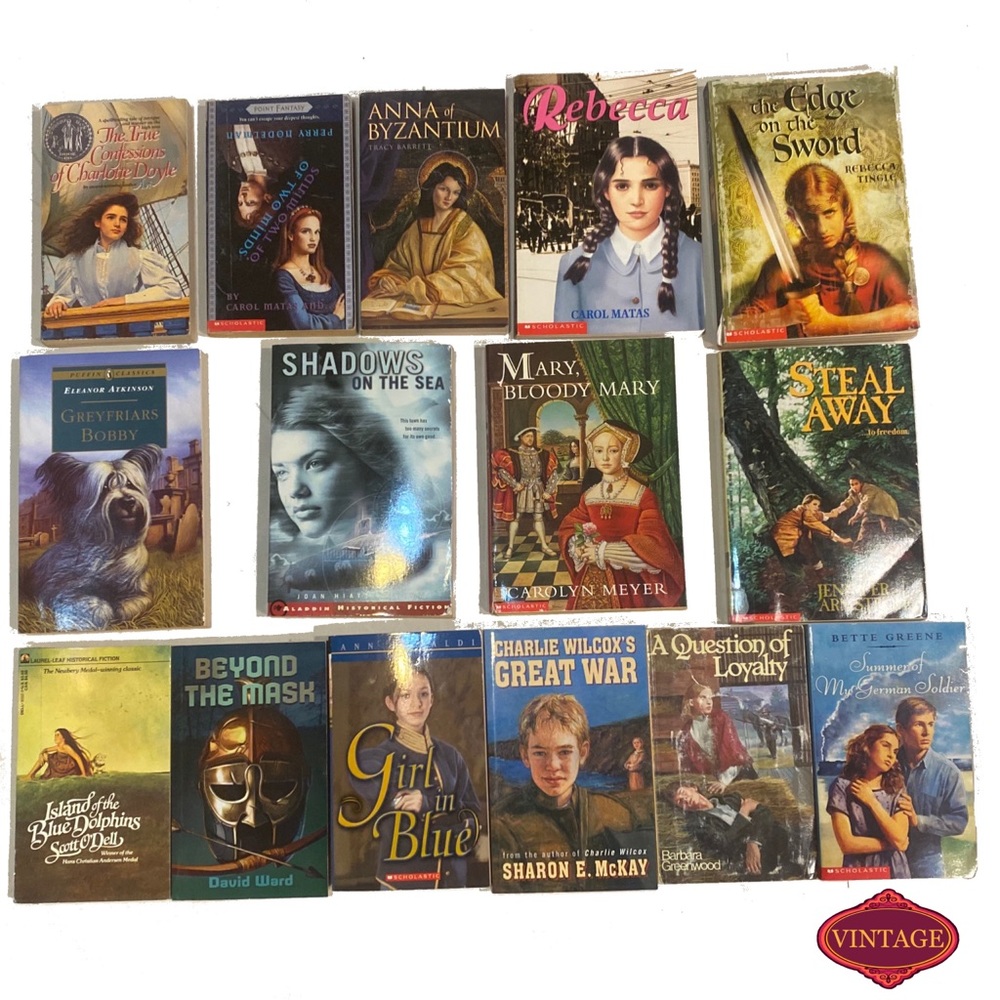 Set of 15 Historical Fiction YA Novels Teen Bulk History Drama Chapter Books